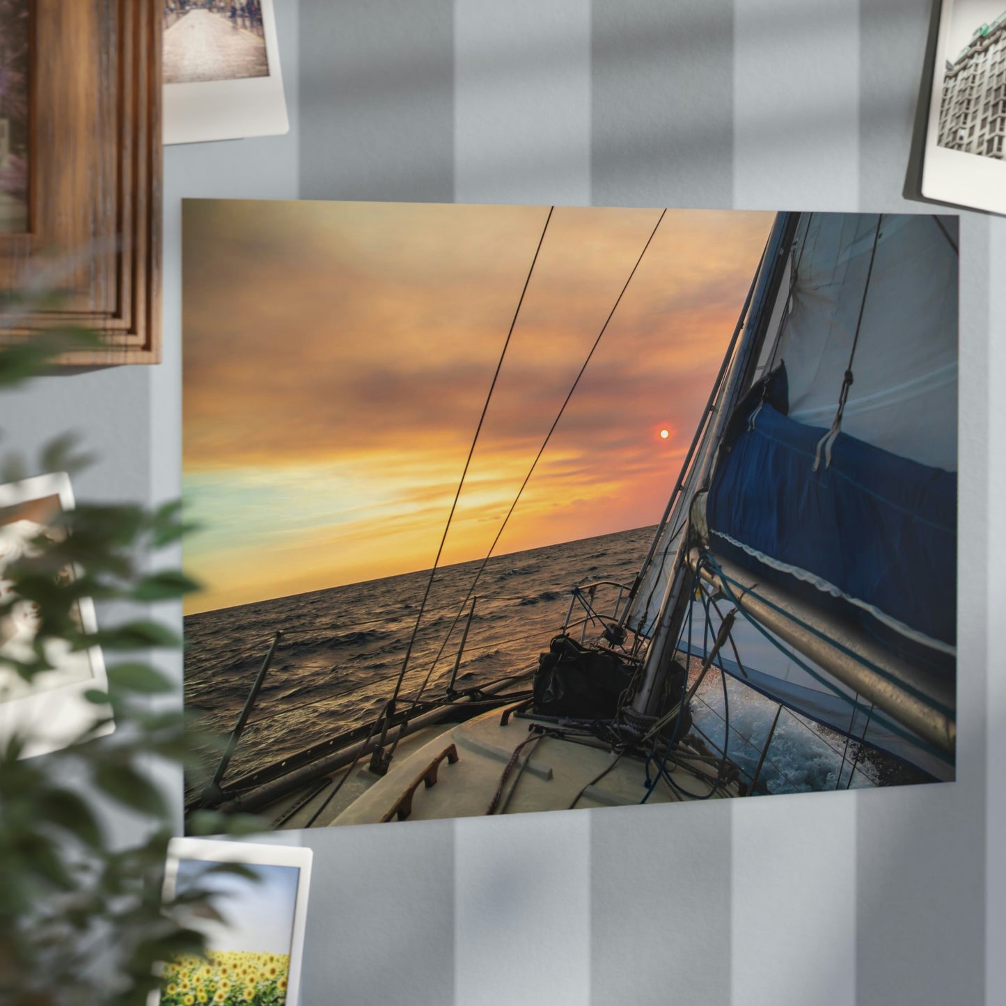 Sailing - Unframed Prints