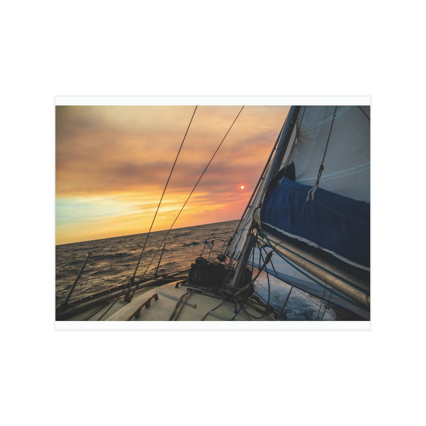 Sailing - Unframed Prints