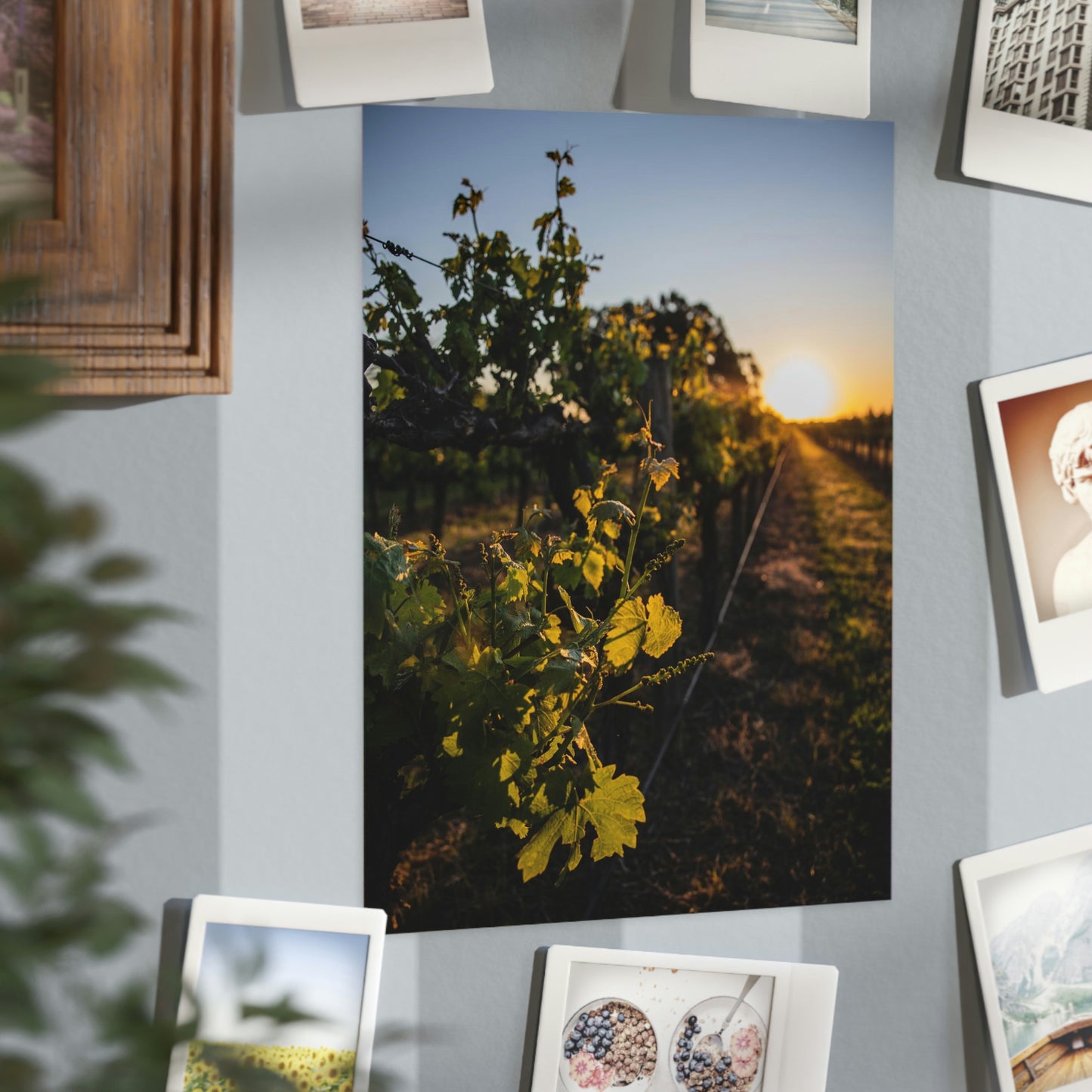 In The Vines - Unframed Prints