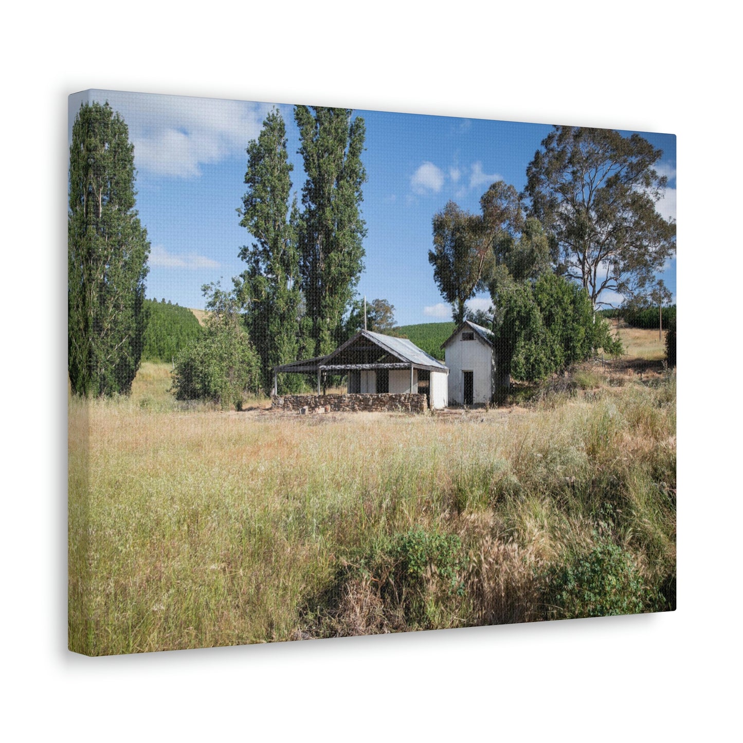 Loggers Hut - Classic Canvas