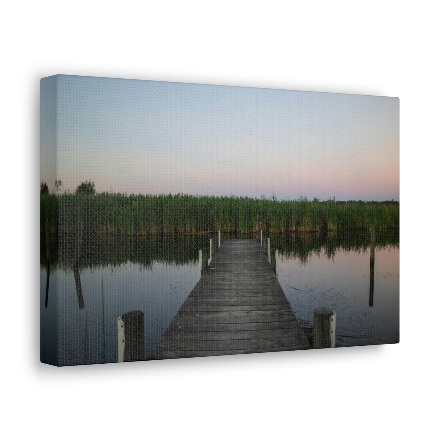 Reeds - Classic Canvas