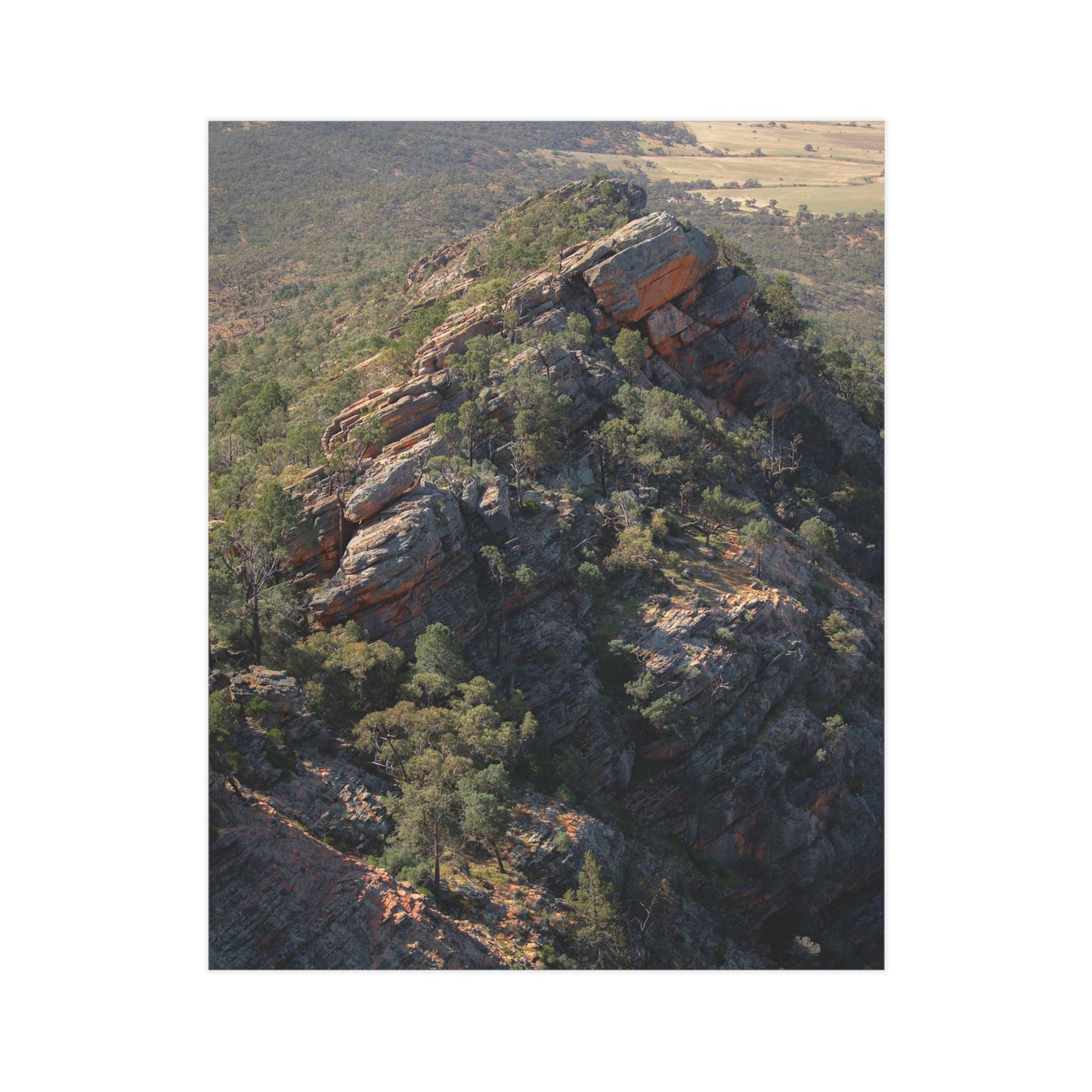 Devils Peak  - Unframed Prints