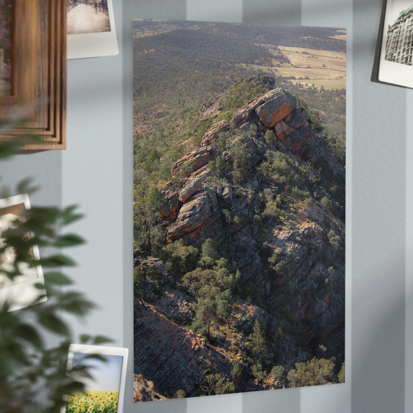 Devils Peak  - Unframed Prints