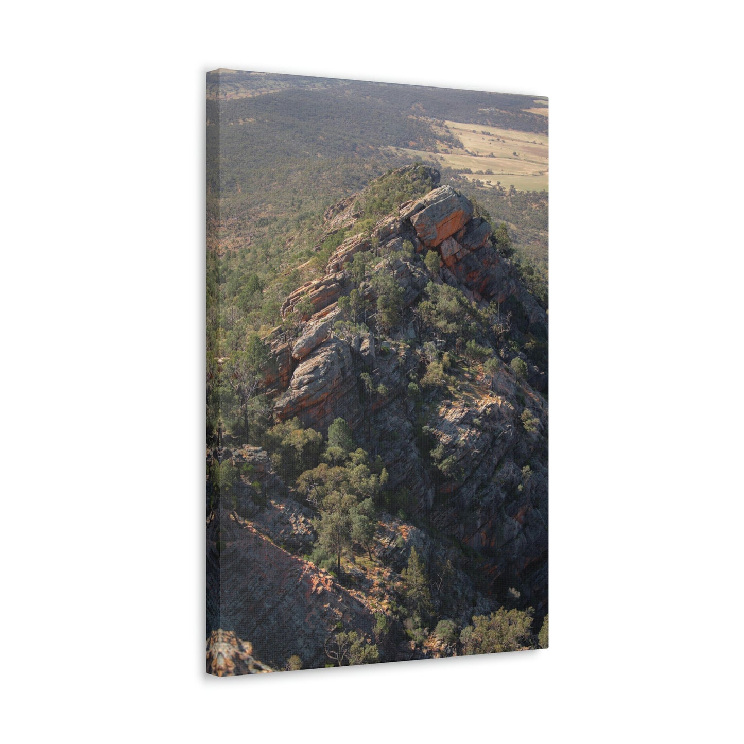 Devils Peak - Classic Canvas