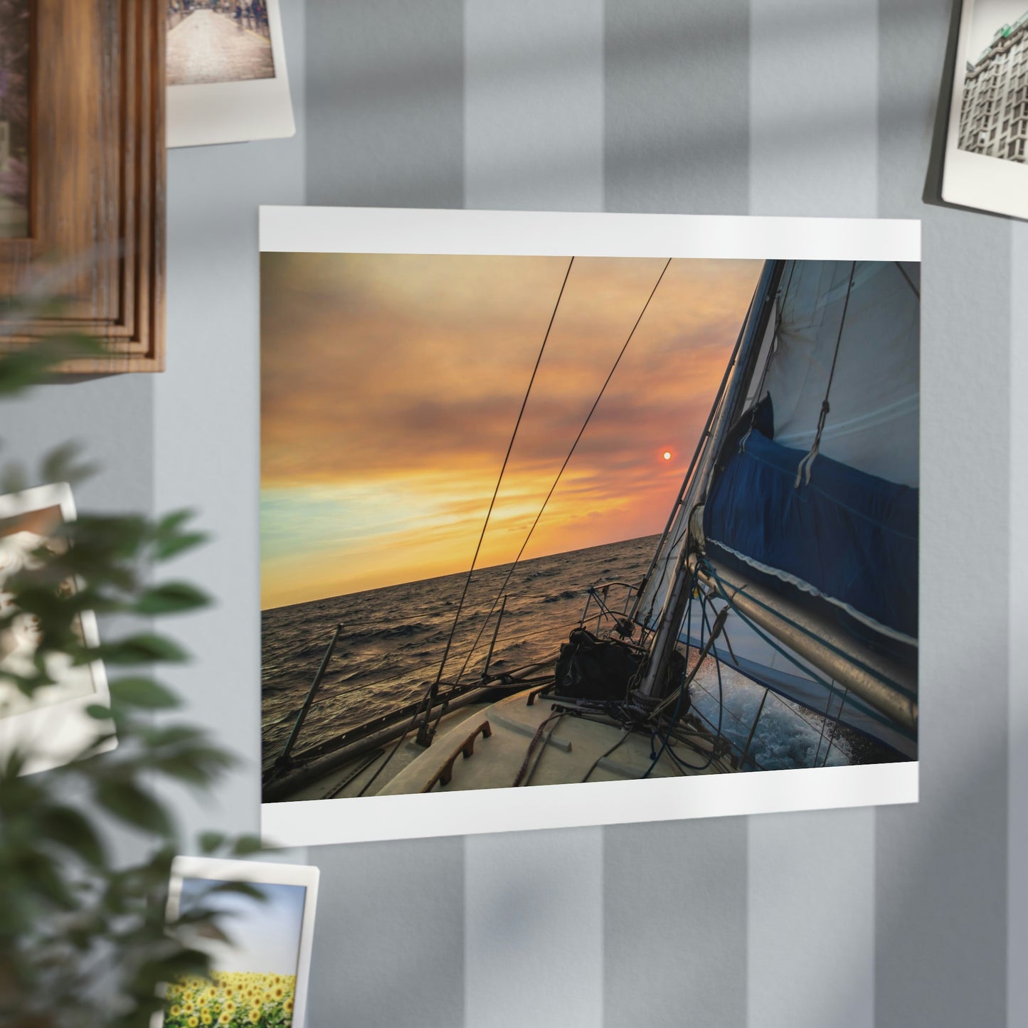 Sailing - Unframed Prints