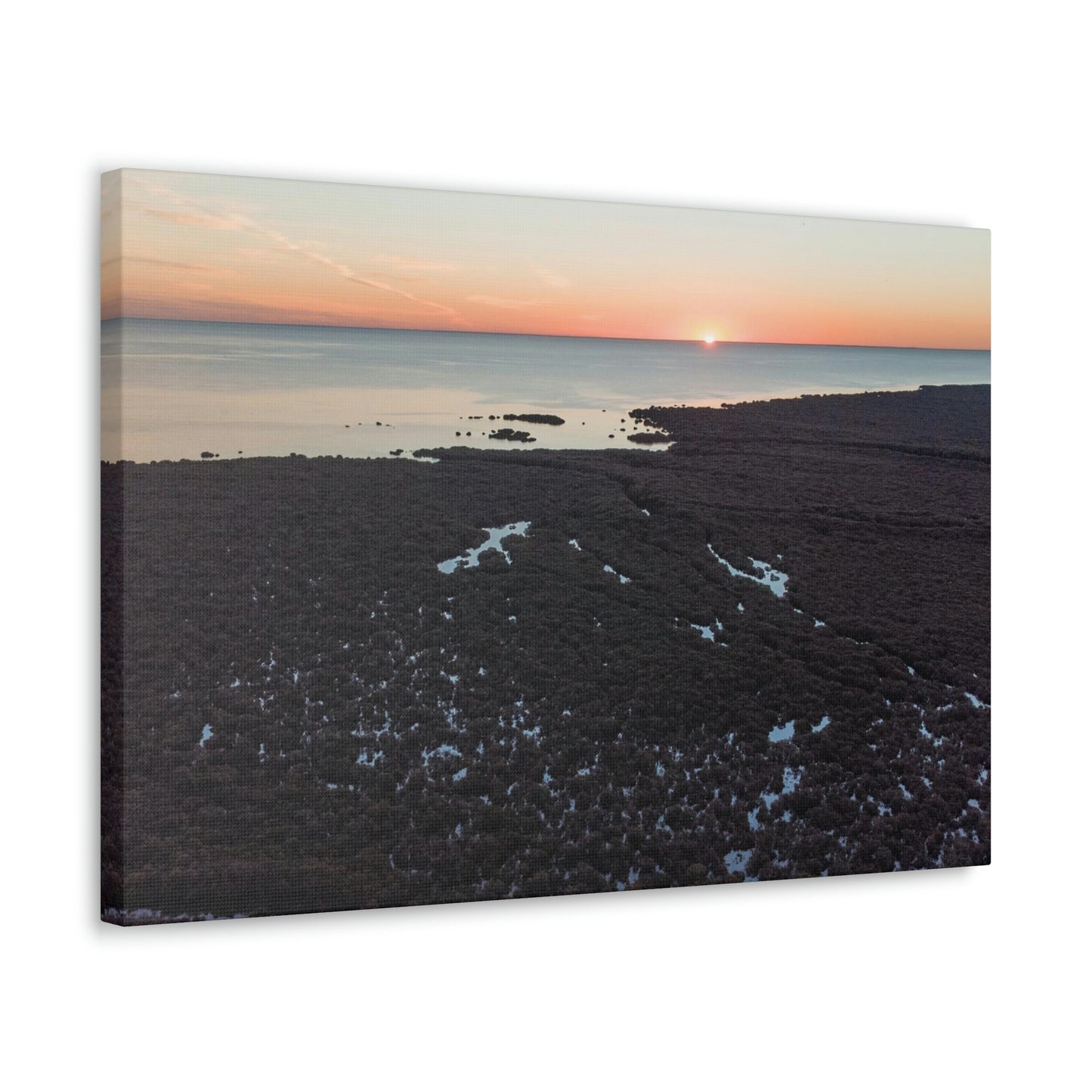 Sinking Mangroves - Classic Canvas