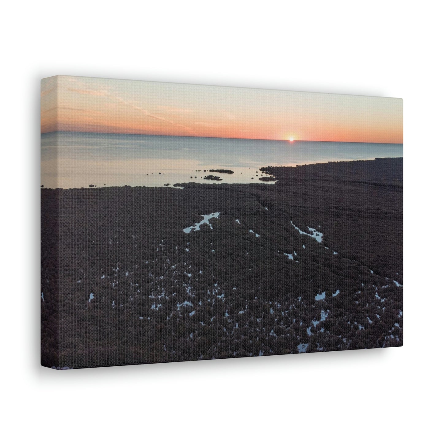 Sinking Mangroves - Classic Canvas