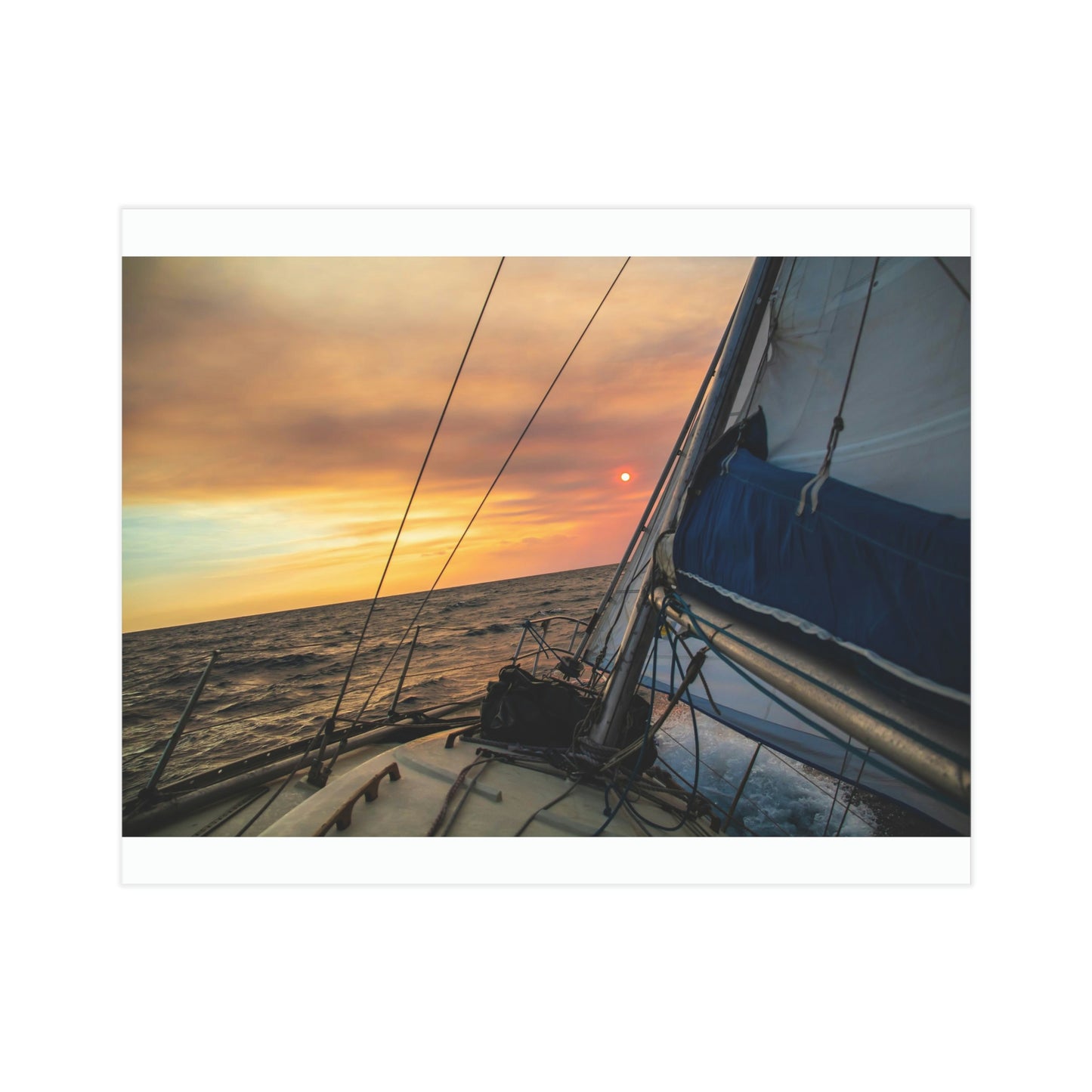 Sailing - Unframed Prints