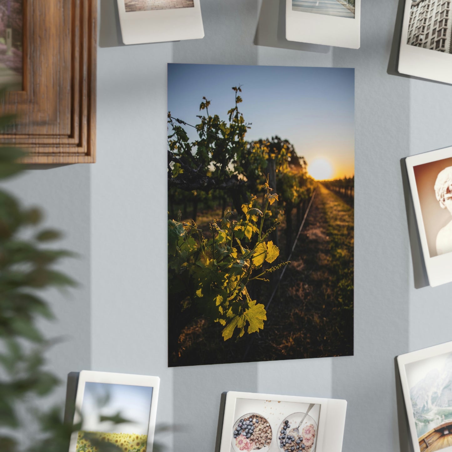 In The Vines - Unframed Prints