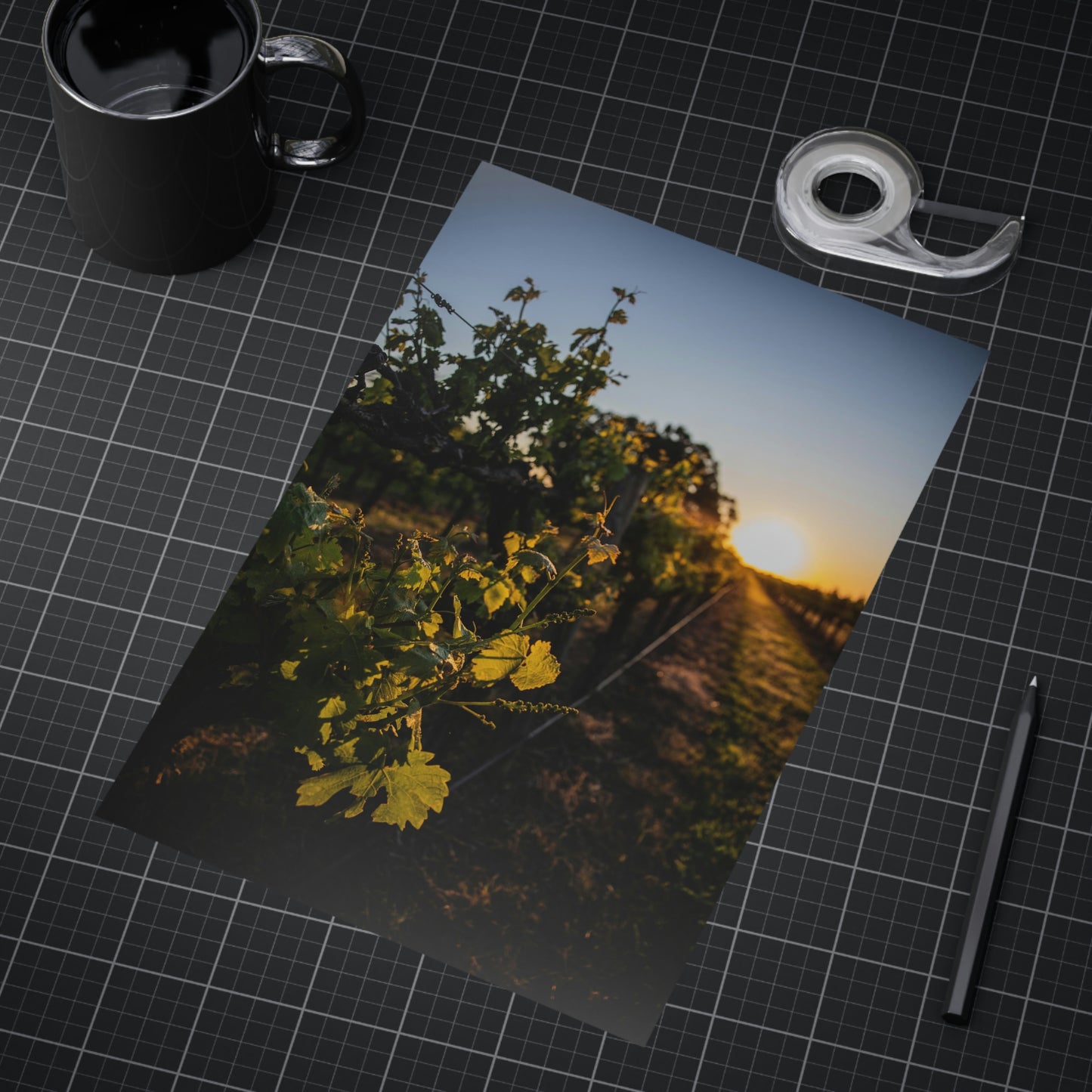 In The Vines - Unframed Prints