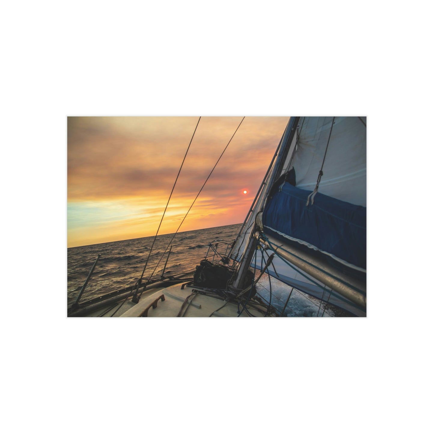 Sailing - Unframed Prints