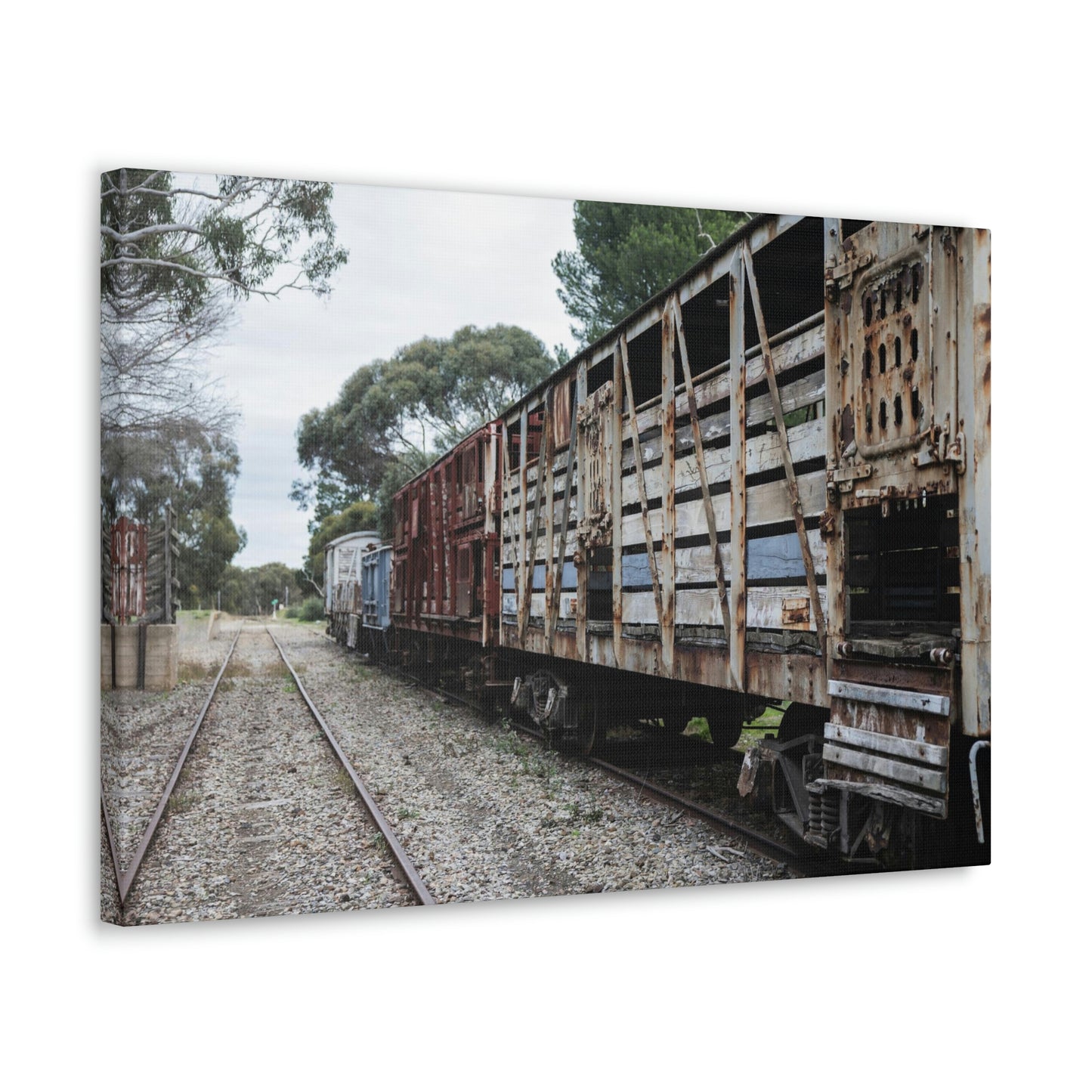 Siding - Classic Canvas