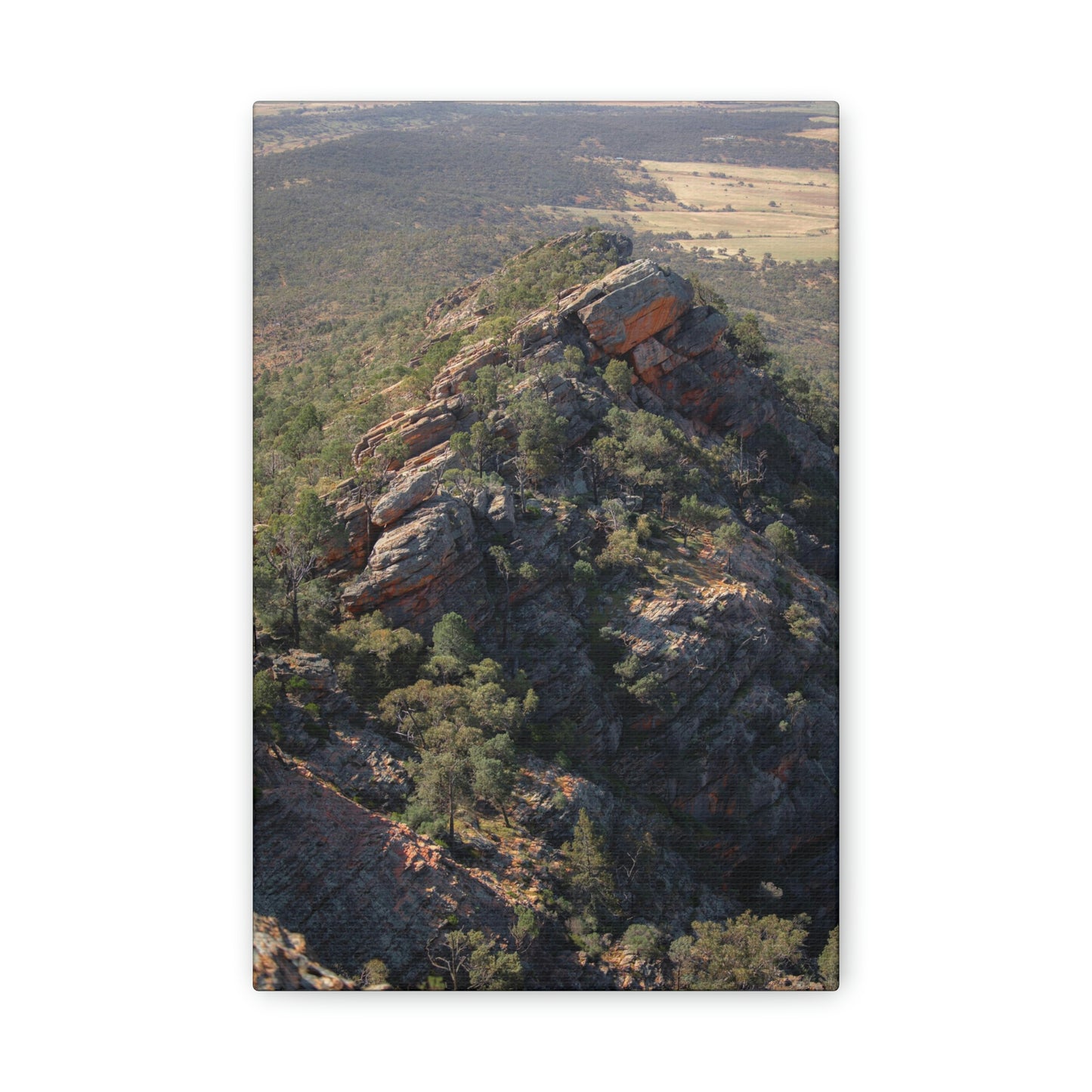 Devils Peak - Classic Canvas