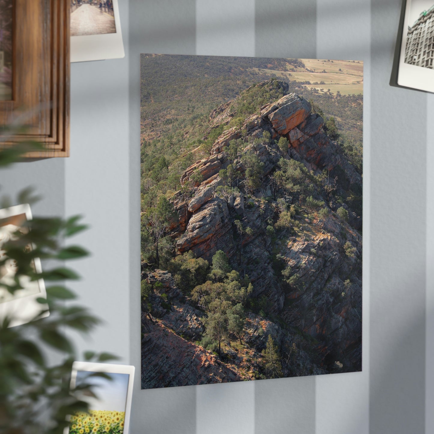 Devils Peak  - Unframed Prints