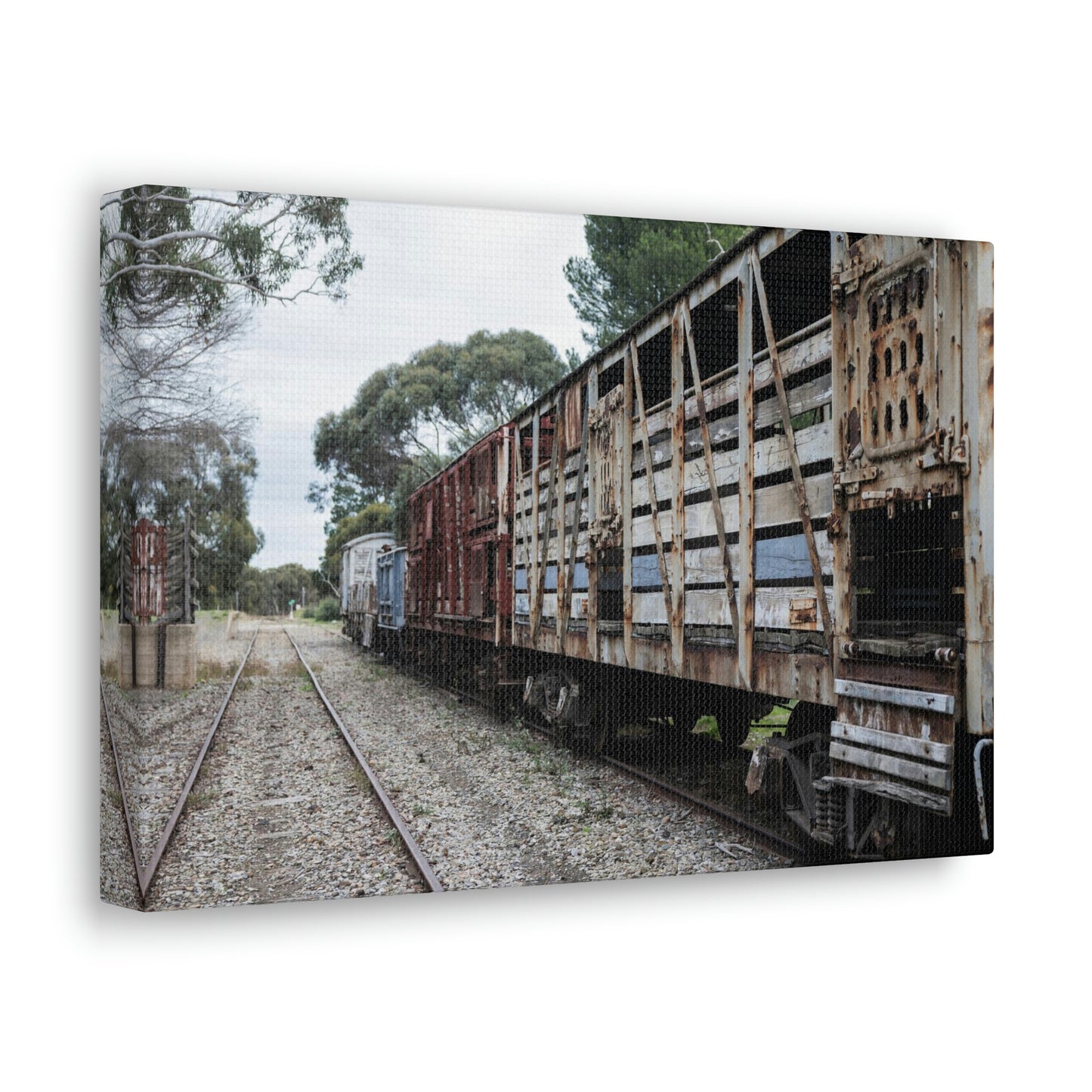 Siding - Classic Canvas