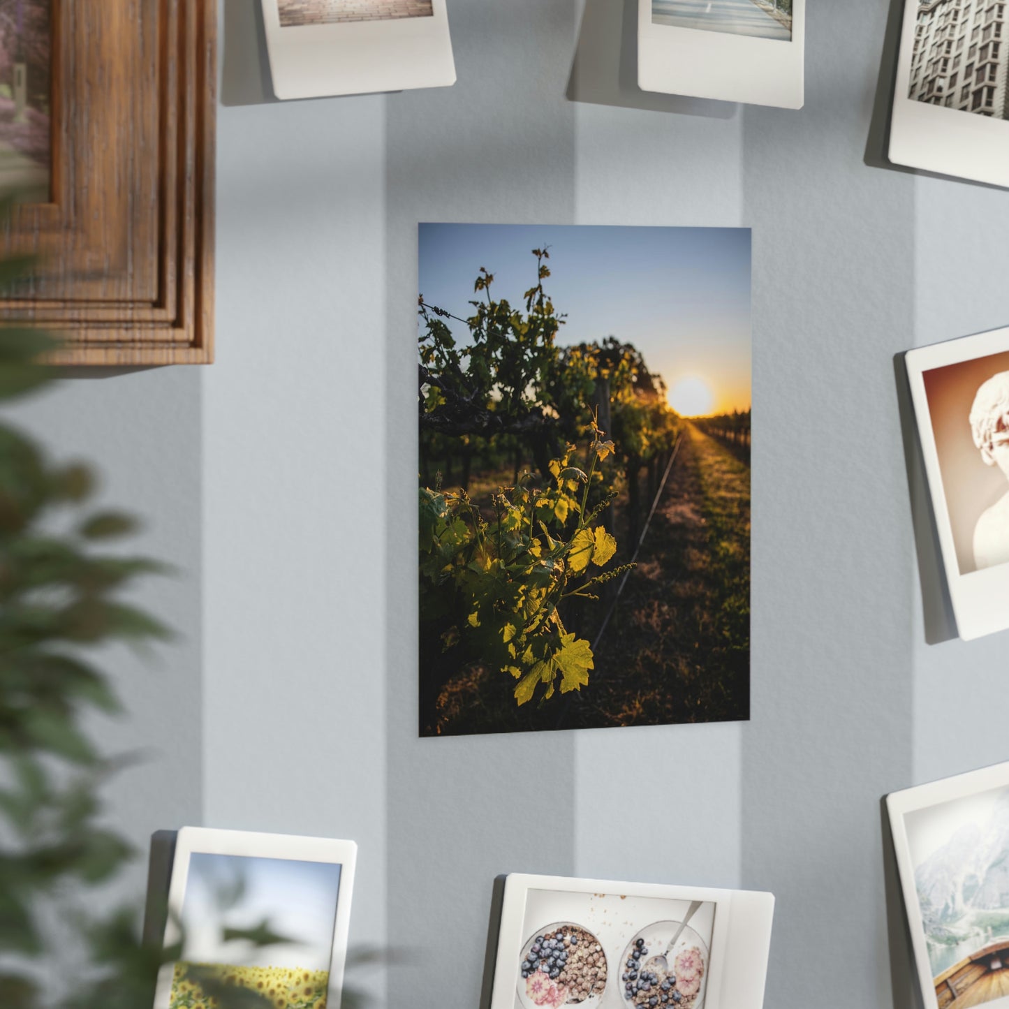 In The Vines - Unframed Prints