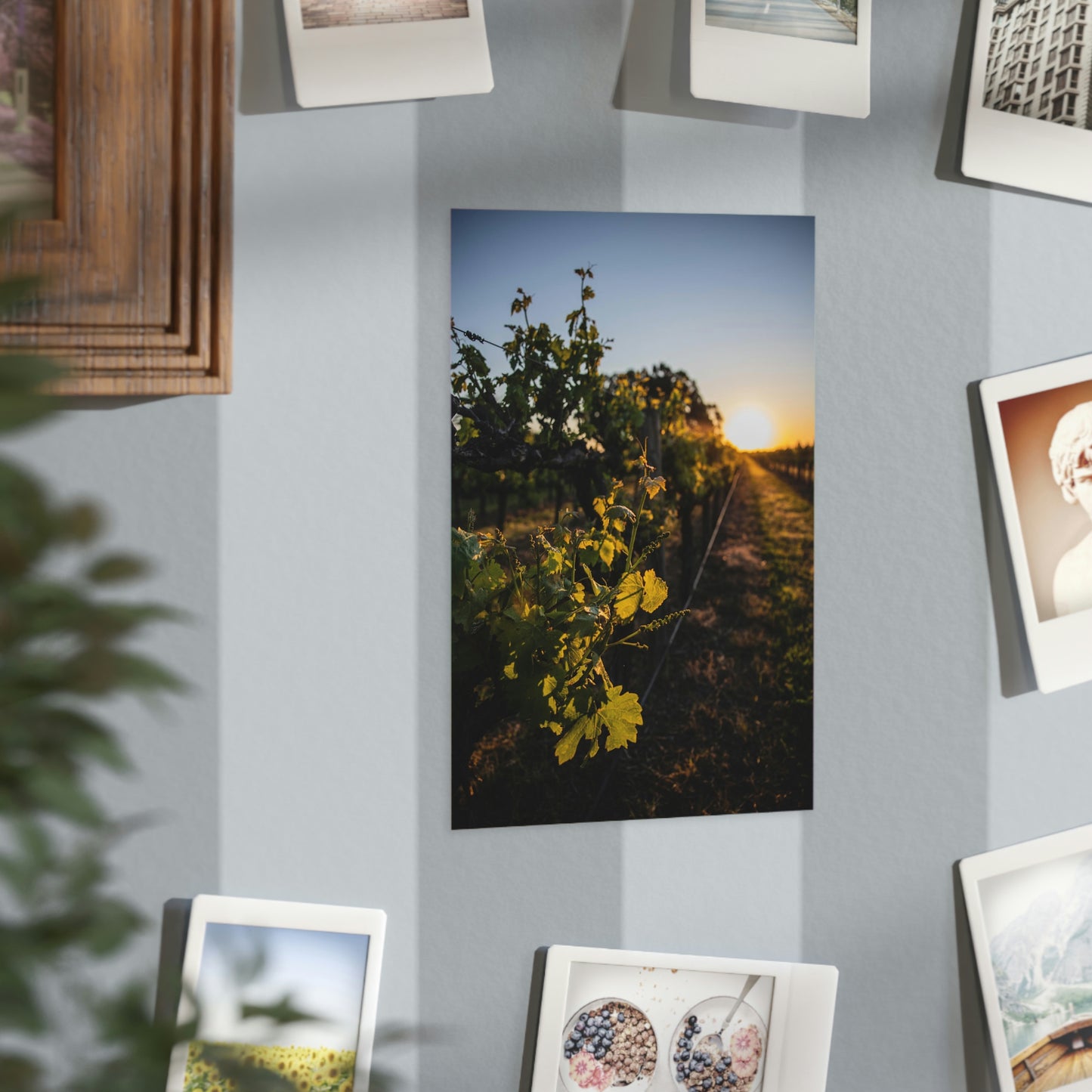 In The Vines - Unframed Prints