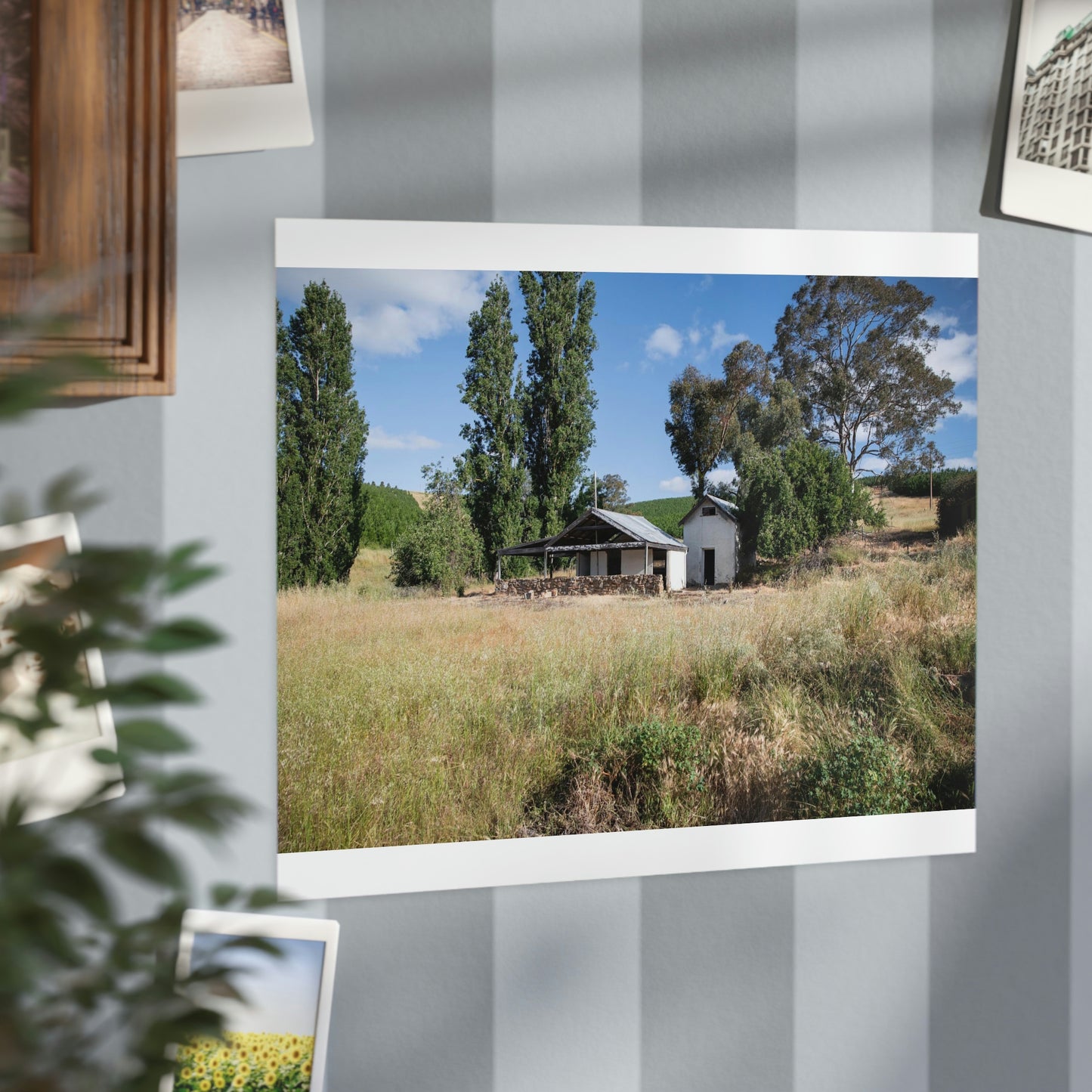 Loggers Hut - Unframed Prints