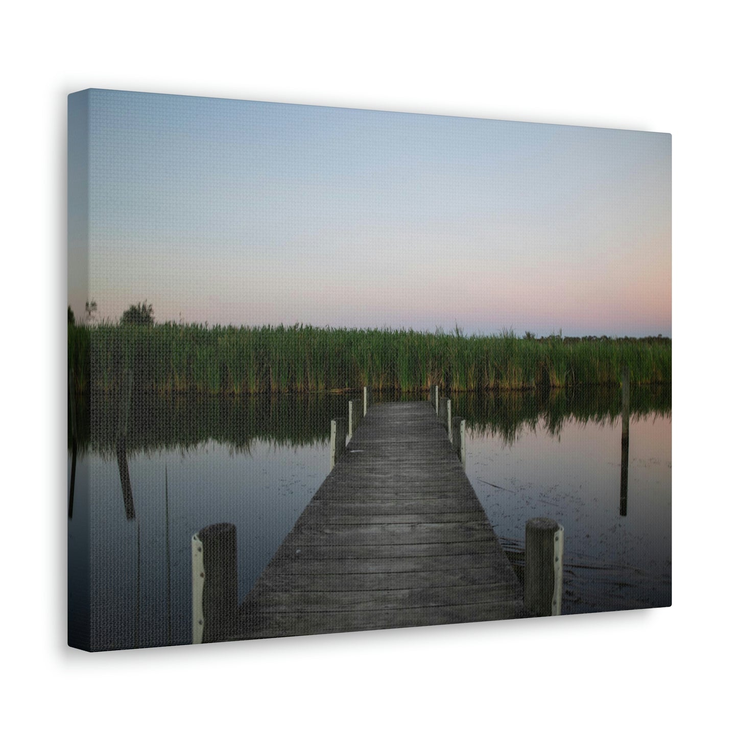 Reeds - Classic Canvas