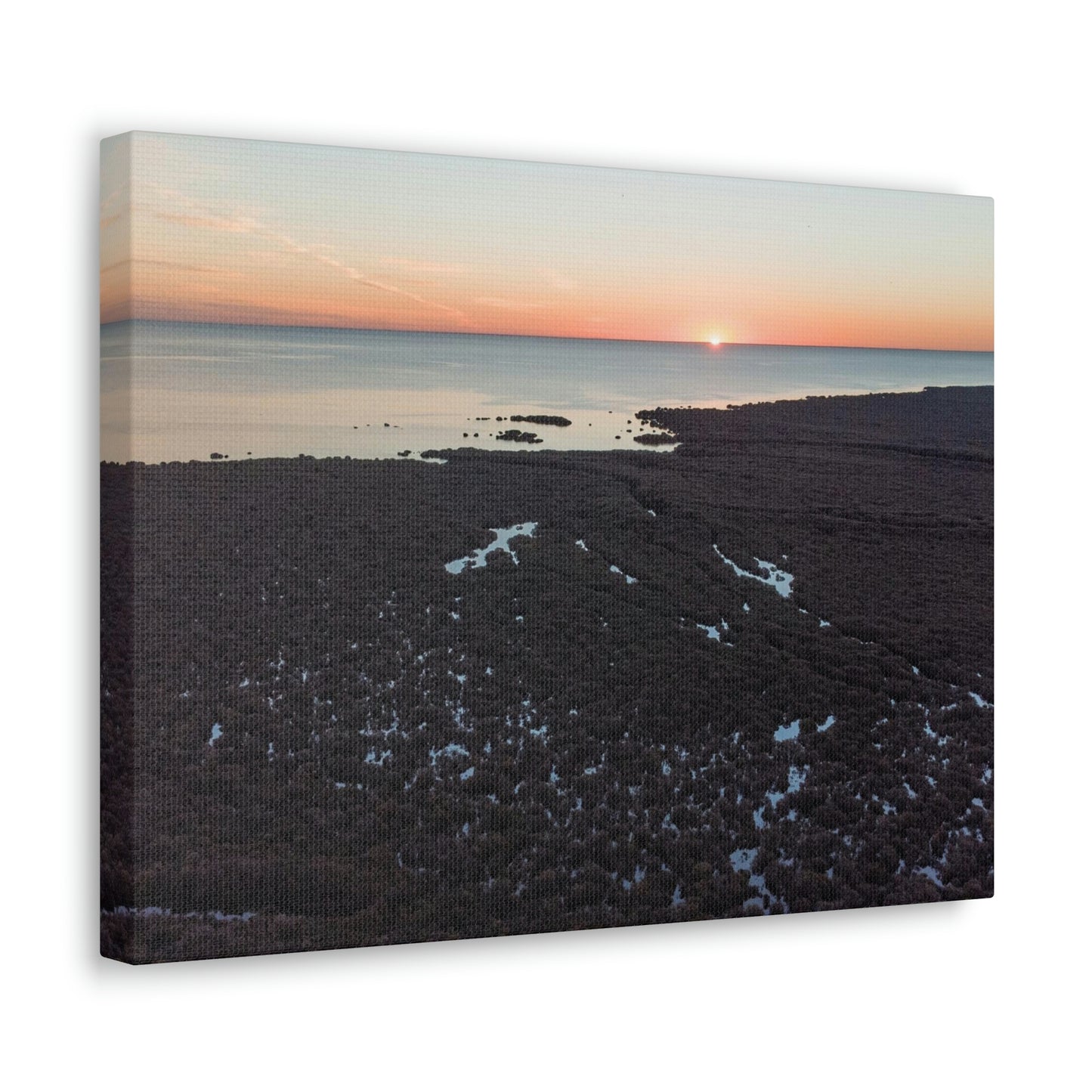 Sinking Mangroves - Classic Canvas