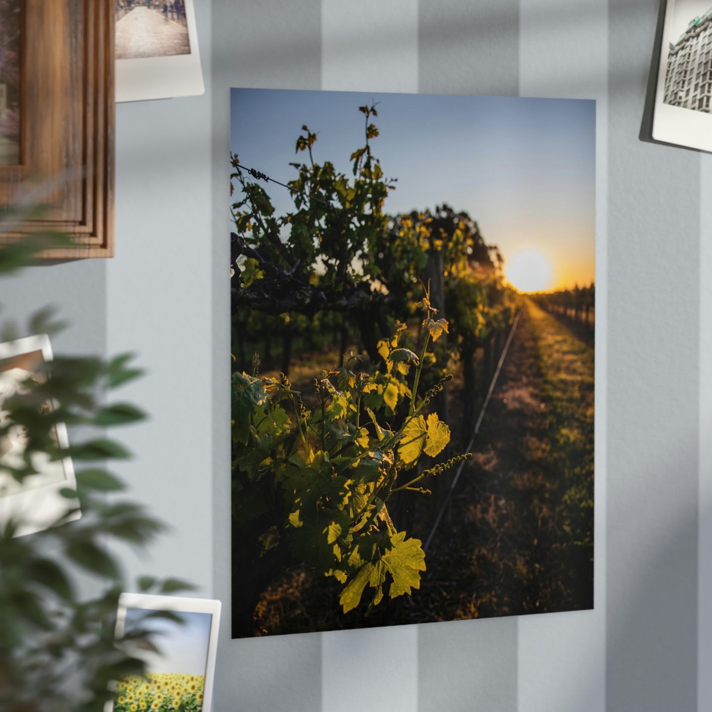 In The Vines - Unframed Prints