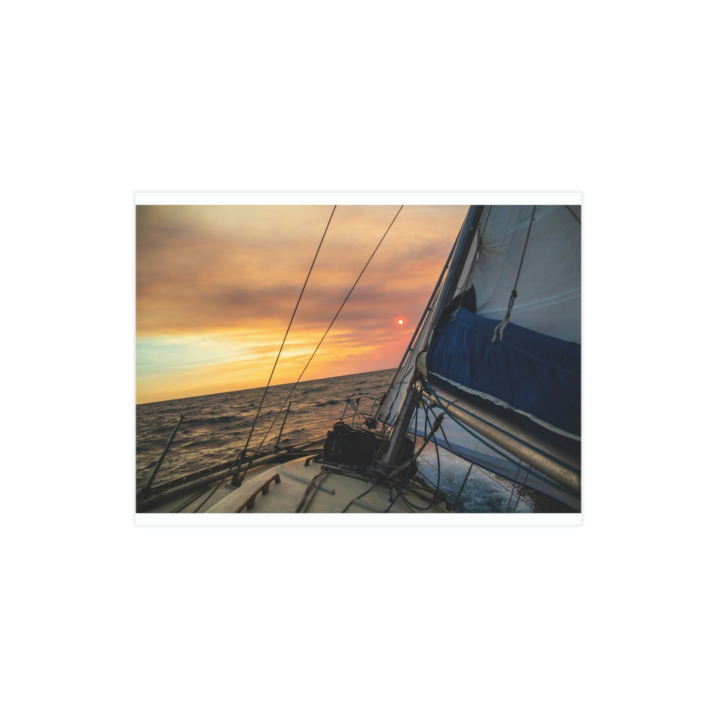 Sailing - Unframed Prints