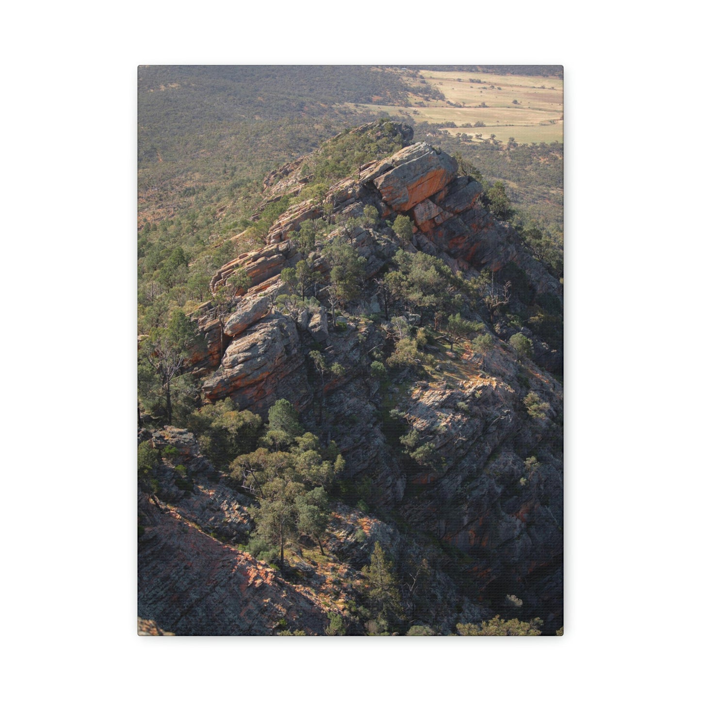 Devils Peak - Classic Canvas